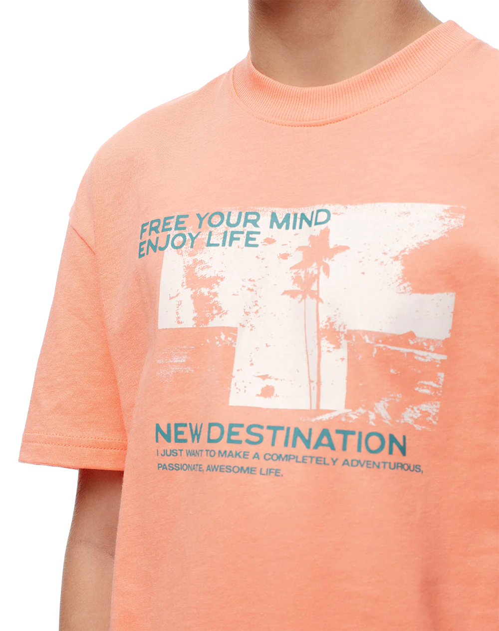 Camiseta regular algodón coral estampada niño - Image 3