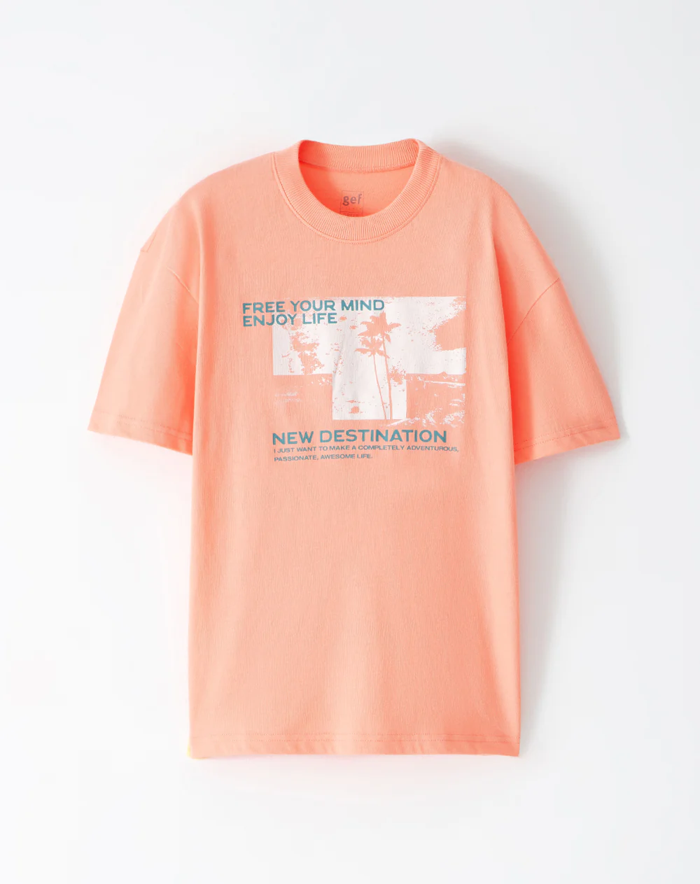 Camiseta regular algodón coral estampada niño - Image 5